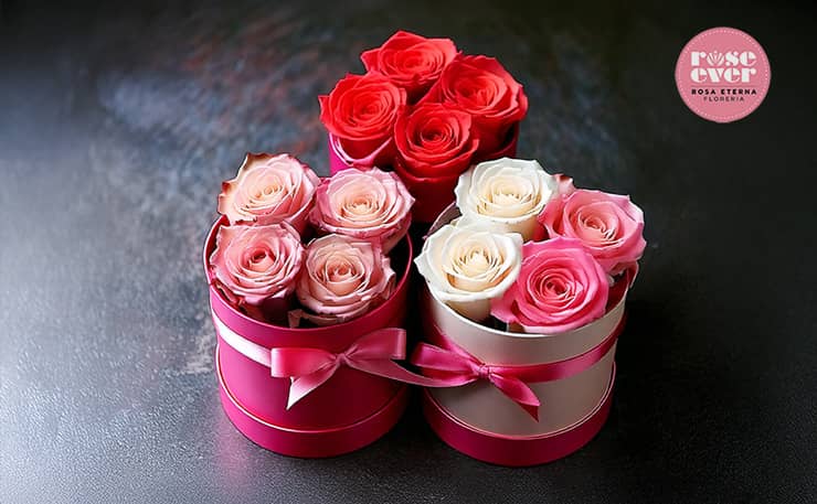 cuidado-de-las-flores-eternas
